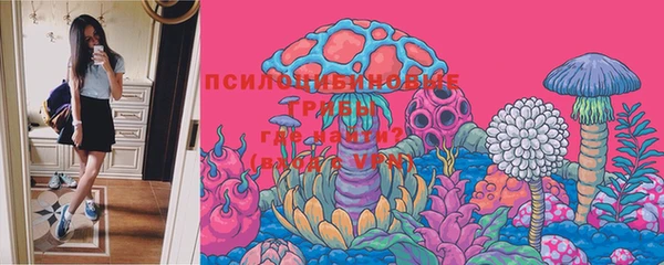 2c-b Алексин